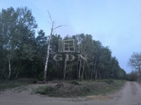 Kakucs Mezőgazdasági terület - 139.800.000 Ft