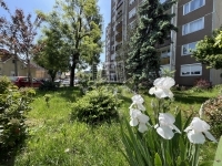 For sale flat (panel) Budapest IV. district, 53m2