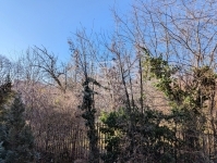 Budapest II. kerület Wohnung (Ziegel) 5