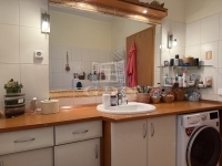 Budapest XI. kerület Wohnung (Ziegel) 23