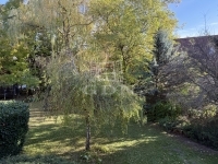 Budapest XI. kerület Wohnung (Ziegel) 36