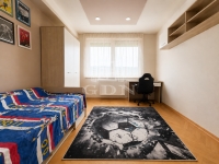 Budapest III. kerület Wohnung (Panel) 8