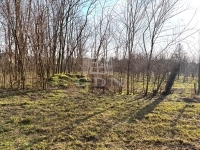 Újfehértó Teren pentru constructii 2