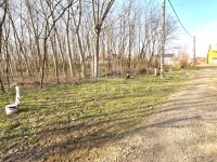 Újfehértó Teren pentru constructii 0