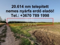 Hajdúnánás Mezőgazdasági terület - 12.875.000 Ft