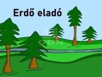 Hajdúnánás Mezőgazdasági terület 3