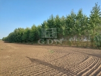 Hajdúnánás Mezőgazdasági terület 1