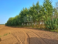 Hajdúnánás Mezőgazdasági terület 3