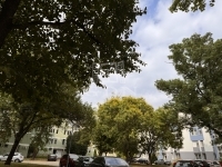 Budapest XVIII. kerület Lakás (csúsztatott zsalu) 4