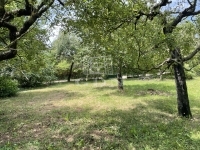 Budakeszi 夏季别墅 9