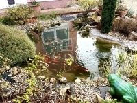 Érsekcsanád 家庭别墅 16