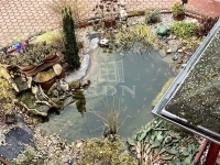 Érsekcsanád 家庭别墅 21