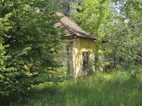 Bácsszőlős Ipari terület 1