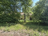 Bácsszőlős Ipari terület 2