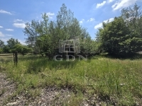 Bácsszőlős Ipari terület 8