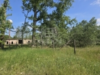 Bácsszőlős Ipari terület 4