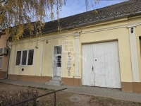 Madaras Üzlethelyiség 2