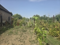 Szászvár Családi ház 8