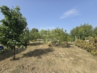 Szászvár Családi ház 7