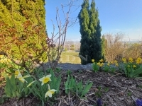 Szekszárd Családi ház 30