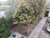 Budapest XVII. kerület 双面别墅 9