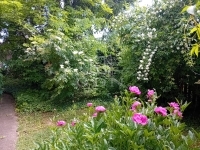 Gödöllő Casa Familiala 1