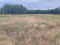 Mórahalom Telek - 76.135.500 Ft