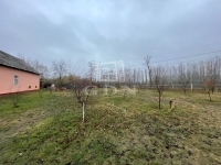 Zákányszék Tanya 8