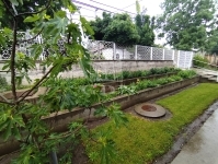 Budapest XVI. kerület Частный дом 12