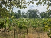 Kőröshegy Telek 11