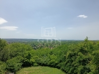 Gödöllő Casa Familiala 6