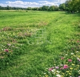 Pásztó Lakás (téglaépítésű) 2