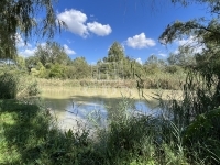 Dunaharaszti Nyaraló 0