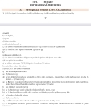 Dunaharaszti Nyaraló 26