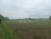 Budapest XXIII. kerület Земля сельскохозяйственного назначения 3