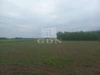 Budapest XXIII. kerület Земля сельскохозяйственного назначения 2