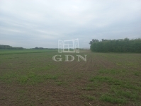 Budapest XXIII. kerület Земля сельскохозяйственного назначения 0