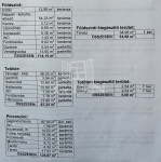 Dunaharaszti Családi ház 24