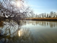 Dunaharaszti 家庭别墅 22