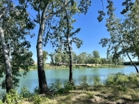 Dunaharaszti 土地 24