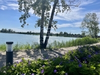 Dunaharaszti 土地 23