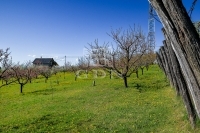 Edelény 农业区域 2