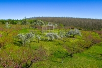 Edelény 农业区域 3