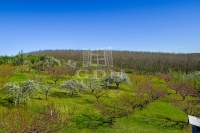 Edelény 农业区域 5