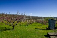 Edelény 农业区域 6