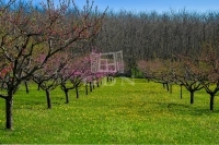 Edelény 农业区域 7