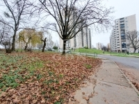 Miskolc Lakás (panel) 22