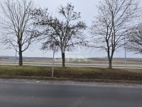 Edelény Ipari terület 8