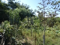 Vácrátót Családi ház 8