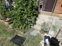 Vácrátót Családi ház 6